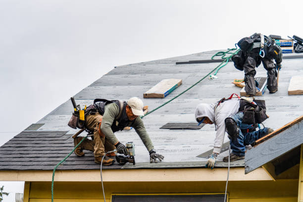 Professional Roof Replacement technician working in Stafford, NY